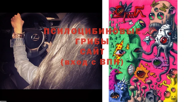 крисы Балахна