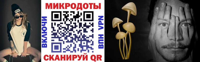 Галлюциногенные грибы Magic Shrooms Свирск