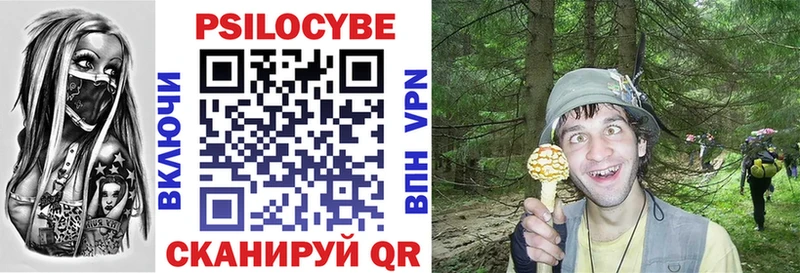 ссылка на мегу маркетплейс  Свирск  Псилоцибиновые грибы мицелий 